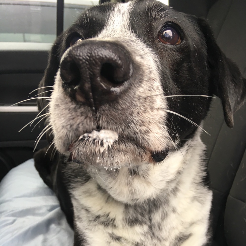 Meet your Posher, Marsha